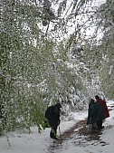 St Jacques 047.jpg St Jacques 047.jpg